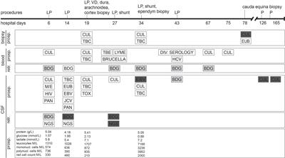 Case report: Chronic Candida albicans meningitis: a rare entity diagnosed by metagenomic next-generation sequencing